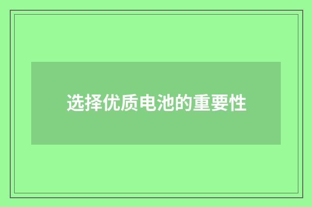 选择优质电池的重要性