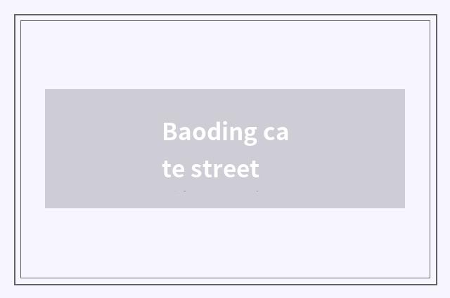 Baoding cate street