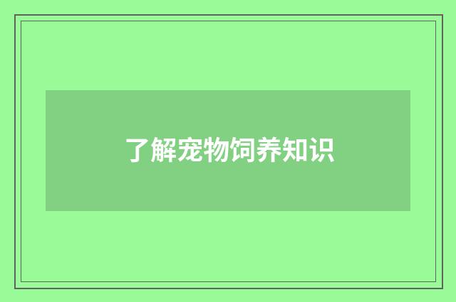 了解宠物饲养知识