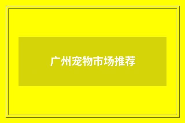 广州宠物市场推荐
