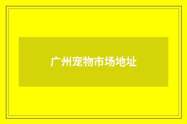 广州宠物市场地址