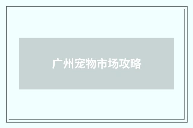 广州宠物市场攻略