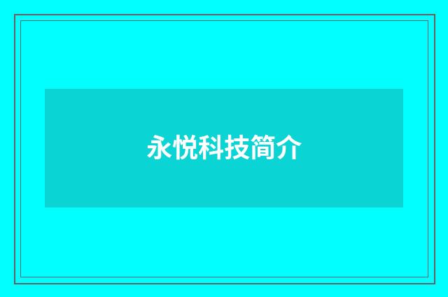 永悦科技简介
