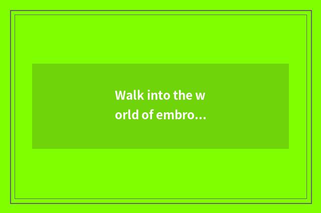 Walk into the world of embroider vogue