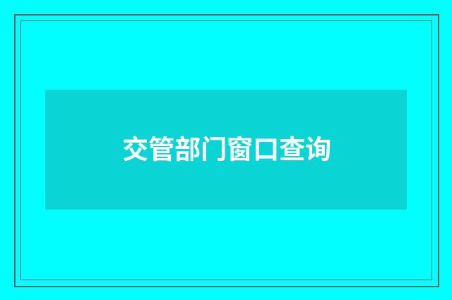 交管部门窗口查询