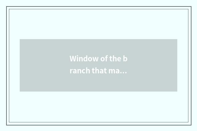 Window of the branch that make a valve inquires