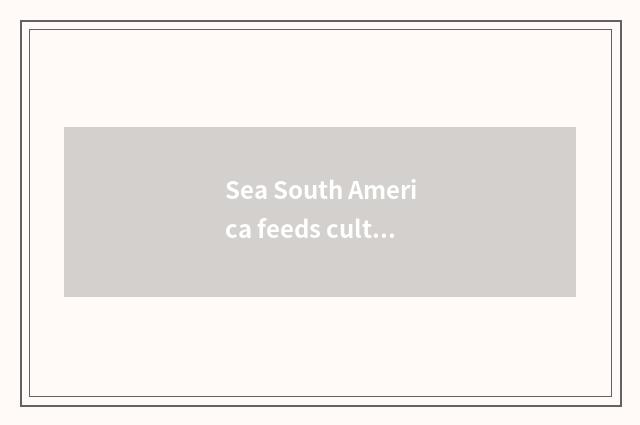 Sea South America feeds culture