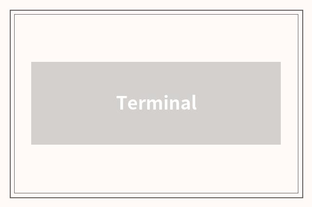 Terminal