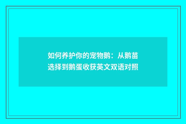 如何养护你的宠物鹅：从鹅苗选择到鹅蛋收获英文双语对照