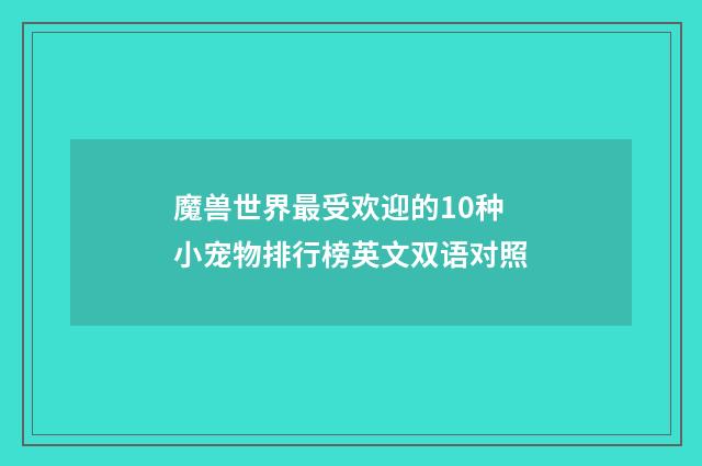 魔兽世界最受欢迎的10种小宠物排行榜英文双语对照