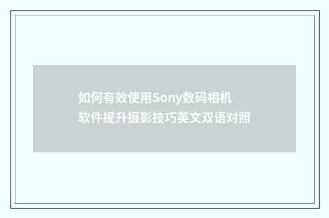 如何有效使用Sony数码相机软件提升摄影技巧英文双语对照