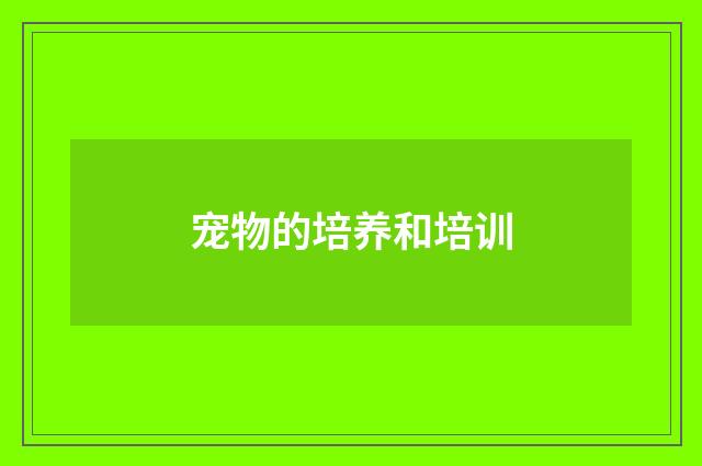 宠物的培养和培训
