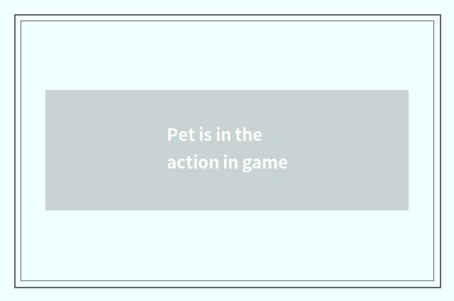 Pet is in the action in game