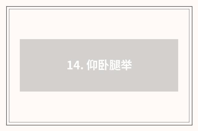 14. 仰卧腿举