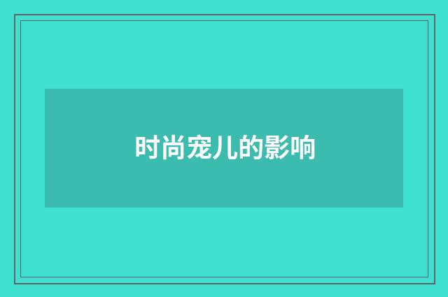 时尚宠儿的影响