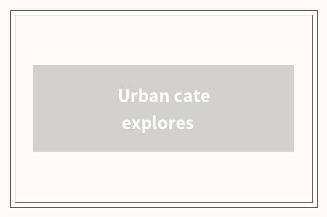 Urban cate explores