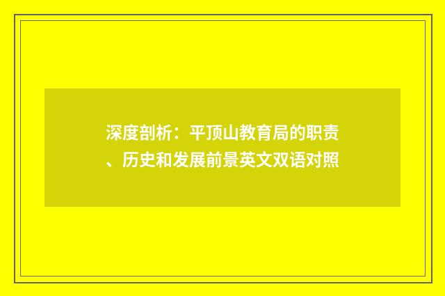深度剖析：平顶山教育局的职责、历史和发展前景英文双语对照