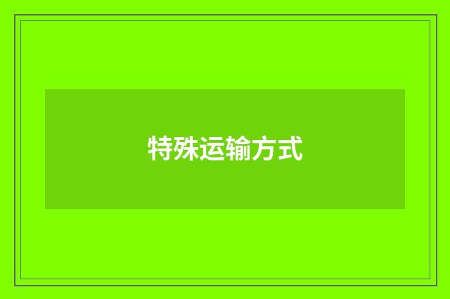 特殊运输方式