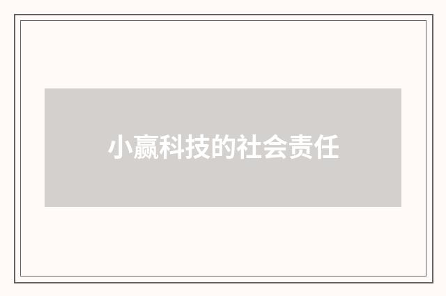小赢科技的社会责任