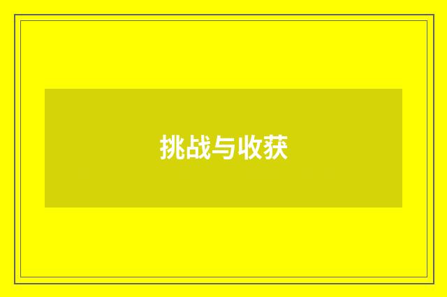 挑战与收获