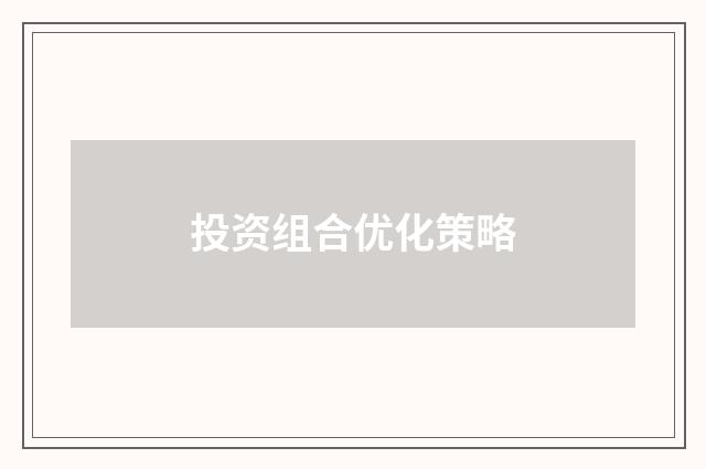 投资组合优化策略