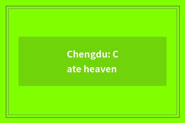 Chengdu: Cate heaven