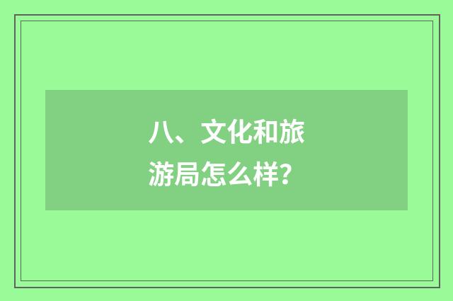 八、文化和旅游局怎么样？