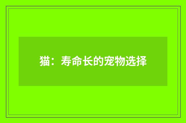 猫：寿命长的宠物选择