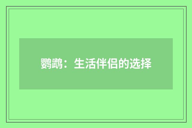鹦鹉：生活伴侣的选择