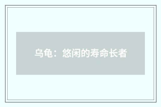 乌龟：悠闲的寿命长者