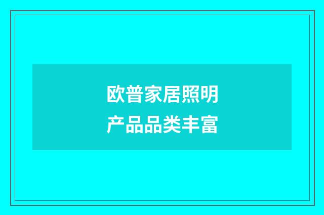 欧普家居照明产品品类丰富