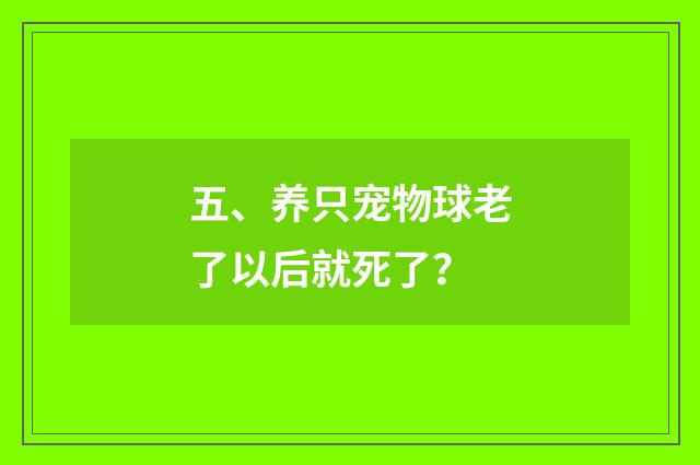 五、养只宠物球老了以后就死了?