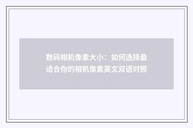 数码相机像素大小：如何选择最适合你的相机像素英文双语对照
