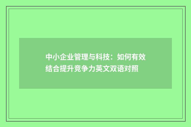 中小企业管理与科技：如何有效结合提升竞争力英文双语对照