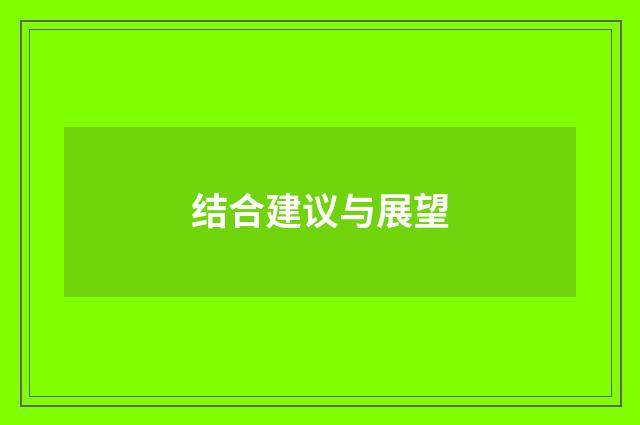 结合建议与展望