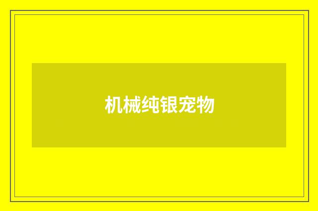 机械纯银宠物