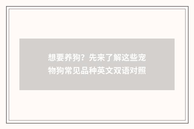 想要养狗？先来了解这些宠物狗常见品种英文双语对照