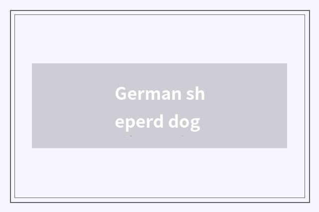 German sheperd dog