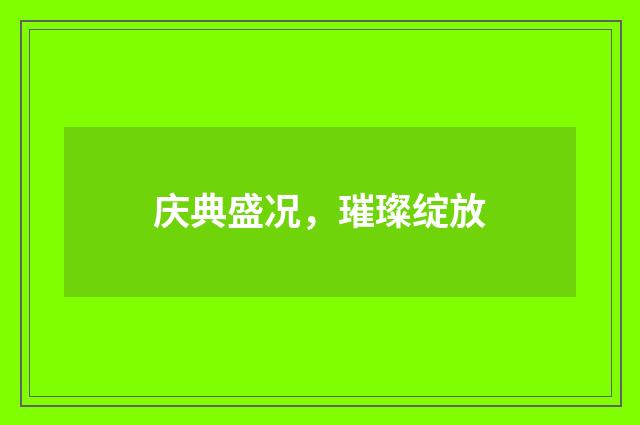 庆典盛况，璀璨绽放