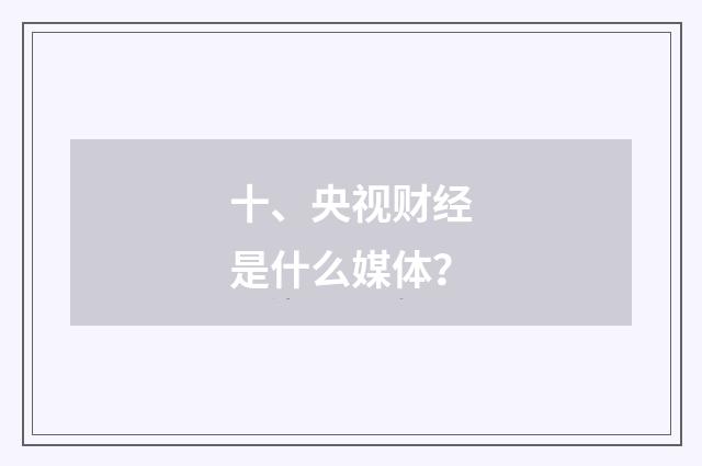 十、央视财经是什么媒体？