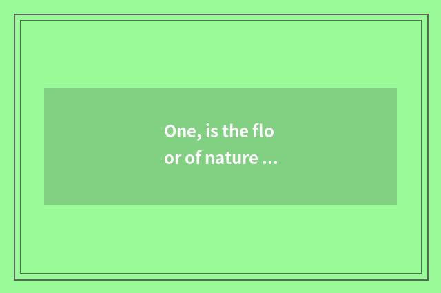 One, is the floor of nature floor brand shop marks a price of packet of installa