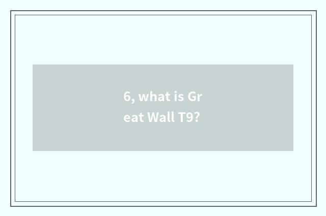 6, what is Great Wall T9?
