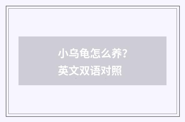 小乌龟怎么养?英文双语对照