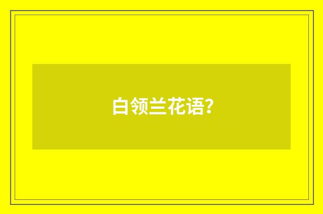 白领兰花语？
