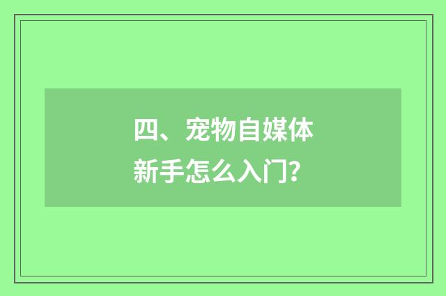 四、宠物自媒体新手怎么入门？