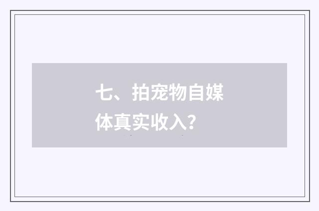 七、拍宠物自媒体真实收入？