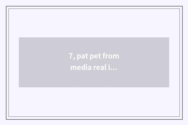 7, pat pet from media real income?
