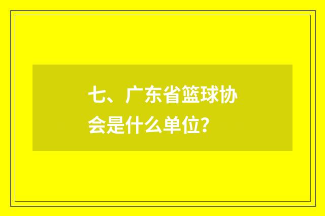七、广东省篮球协会是什么单位？