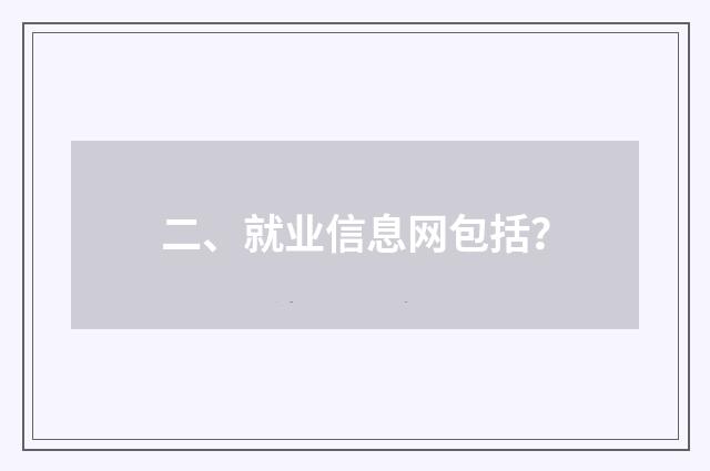 二、就业信息网包括？