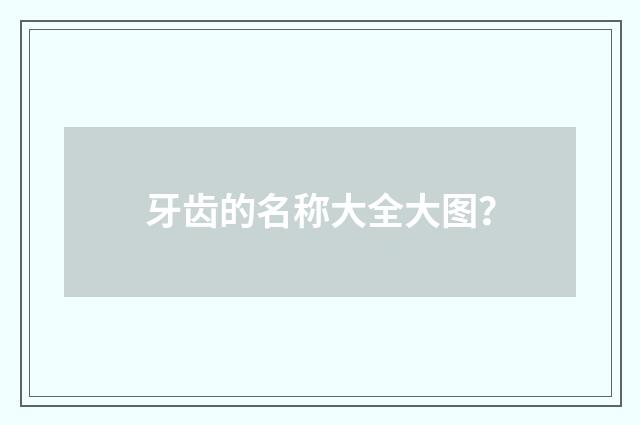 牙齿的名称大全大图？
